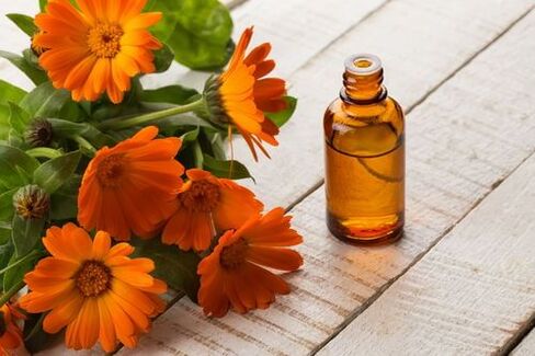 Calendula-Tinktur ist ein einfaches Mittel zur Behandlung von Osteochondrose.